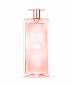 premium fragrance collection